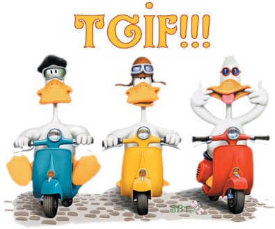 tgif_ducks