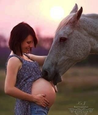 Maternity Horse Lick