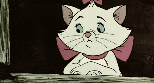 sigh-cat.gif