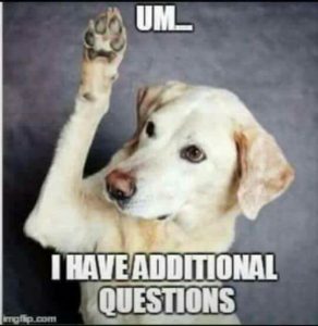 dog-i-have-questions-meme-292x300.jpg