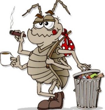 Roach