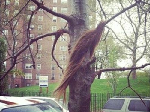 Hurricane Sandy hair weave First Victim