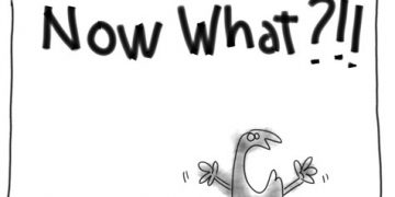 now what cartoon