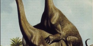 Dinosaur Love