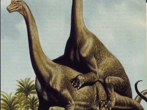 Dinosaur Love