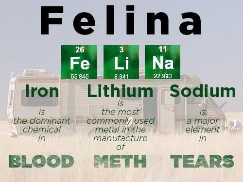 Felina Breaking Bad