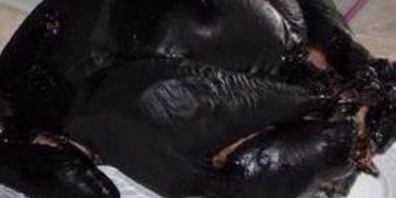 burnt turkey