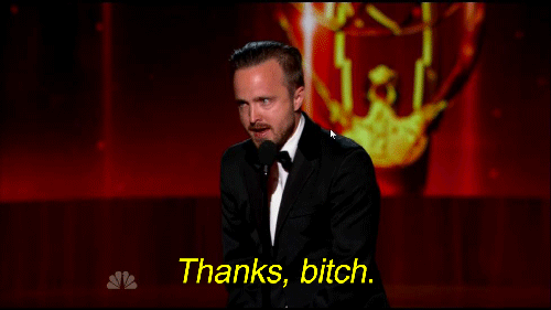 Aaron Paul Perfect