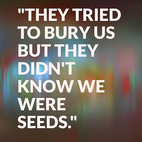 Tried to Bury Us didn't Know We Were Seeds
