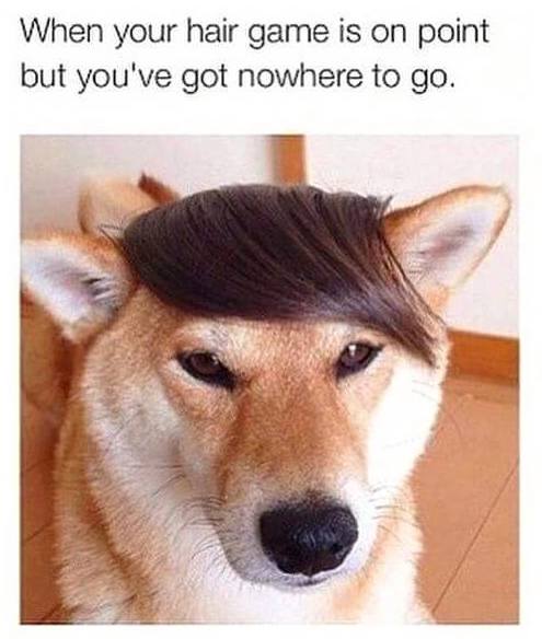 Hair game on point