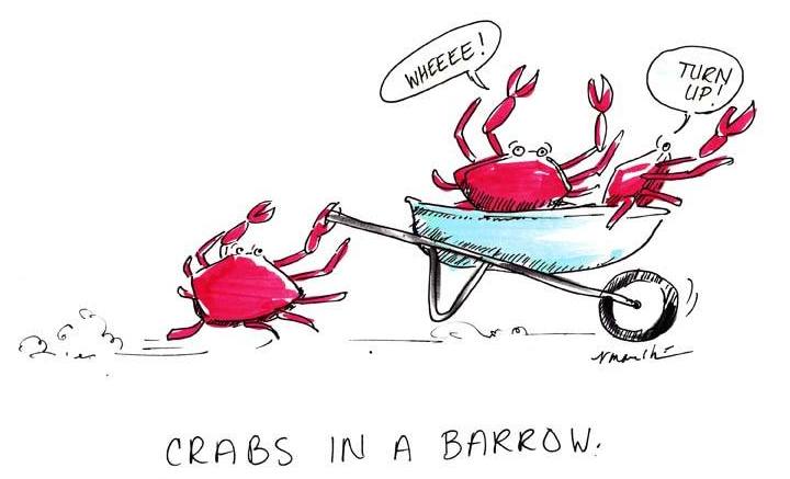 Crabs in the barrow 2