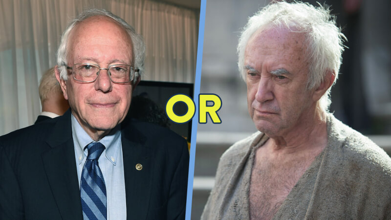 Bernie Sanders High Sparrow