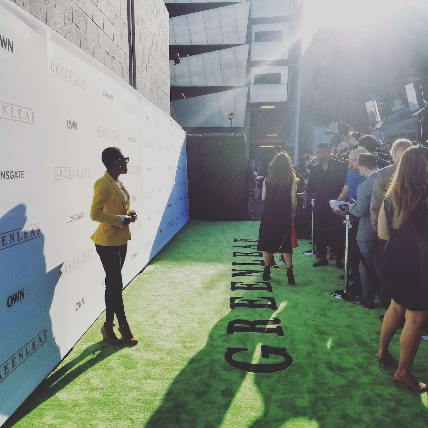 Luvvie on Greenleaf carpet